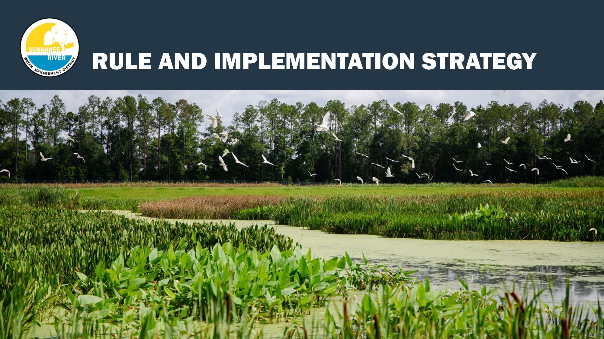 RULE AND IMPLEMENTATION STRATEGY