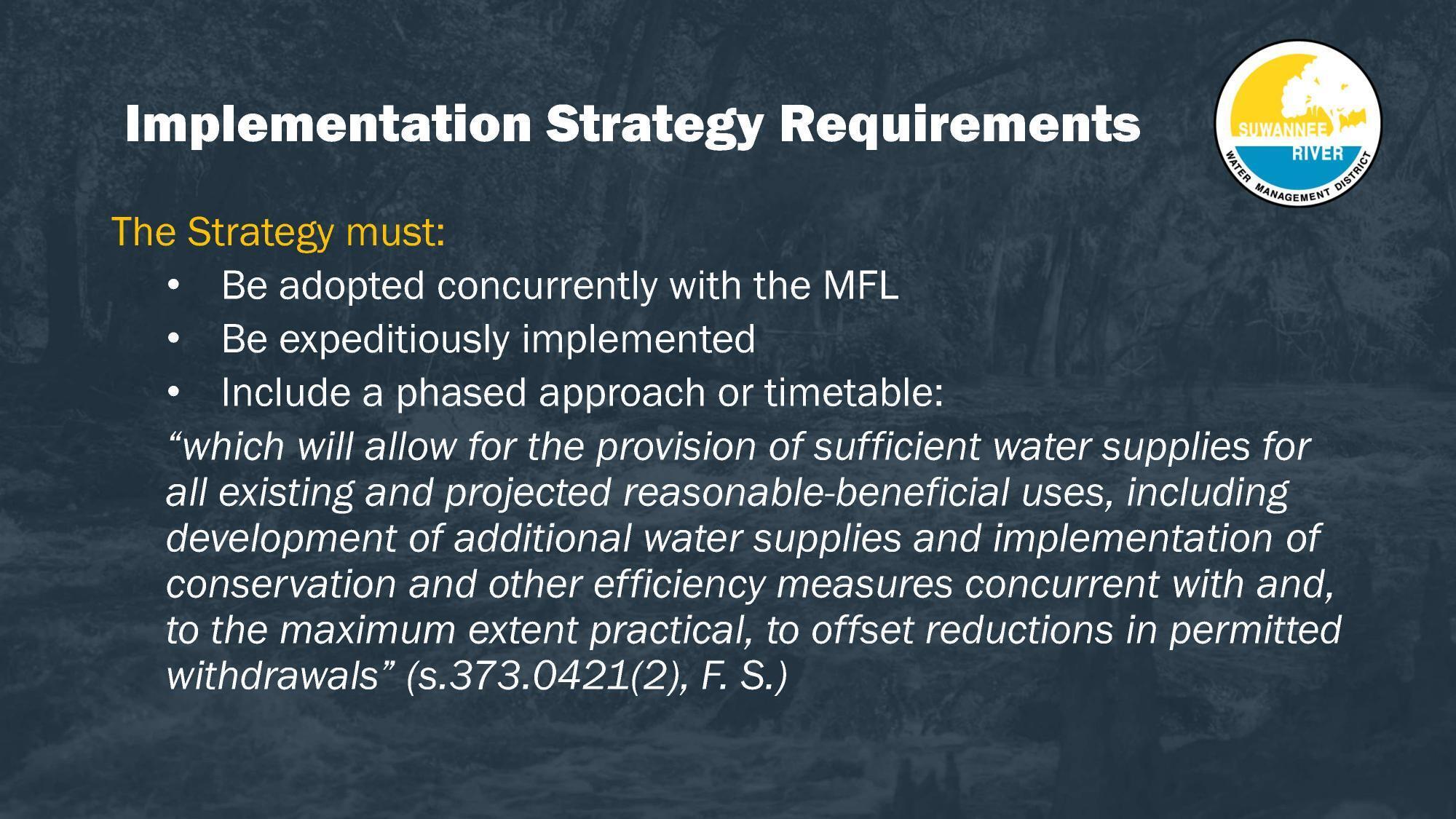 Implementation Strategy Requirements