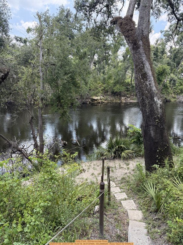 [Holly Point, Withlacoochee River, 2025-07-09, 2025:07:08 14:23:18, 30.4137694, -83.2068028 --Russ Tatum for WWALS]