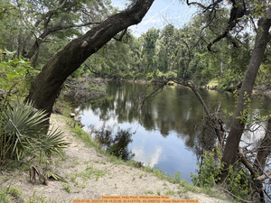 [Downstream, Holly Point, Withlacoochee River, 2025-07-09, 2025:07:08 14:23:36, 30.4137778, -83.2068722 --Russ Tatum for WWALS]