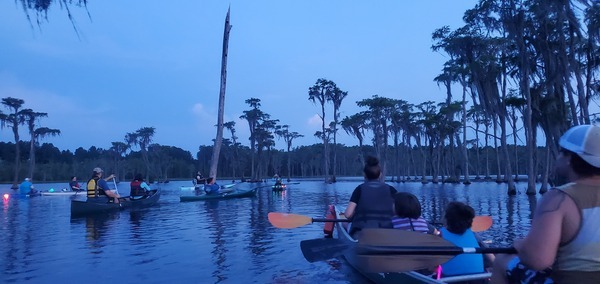 [Paddlers at bat tree, 2023-07-03]