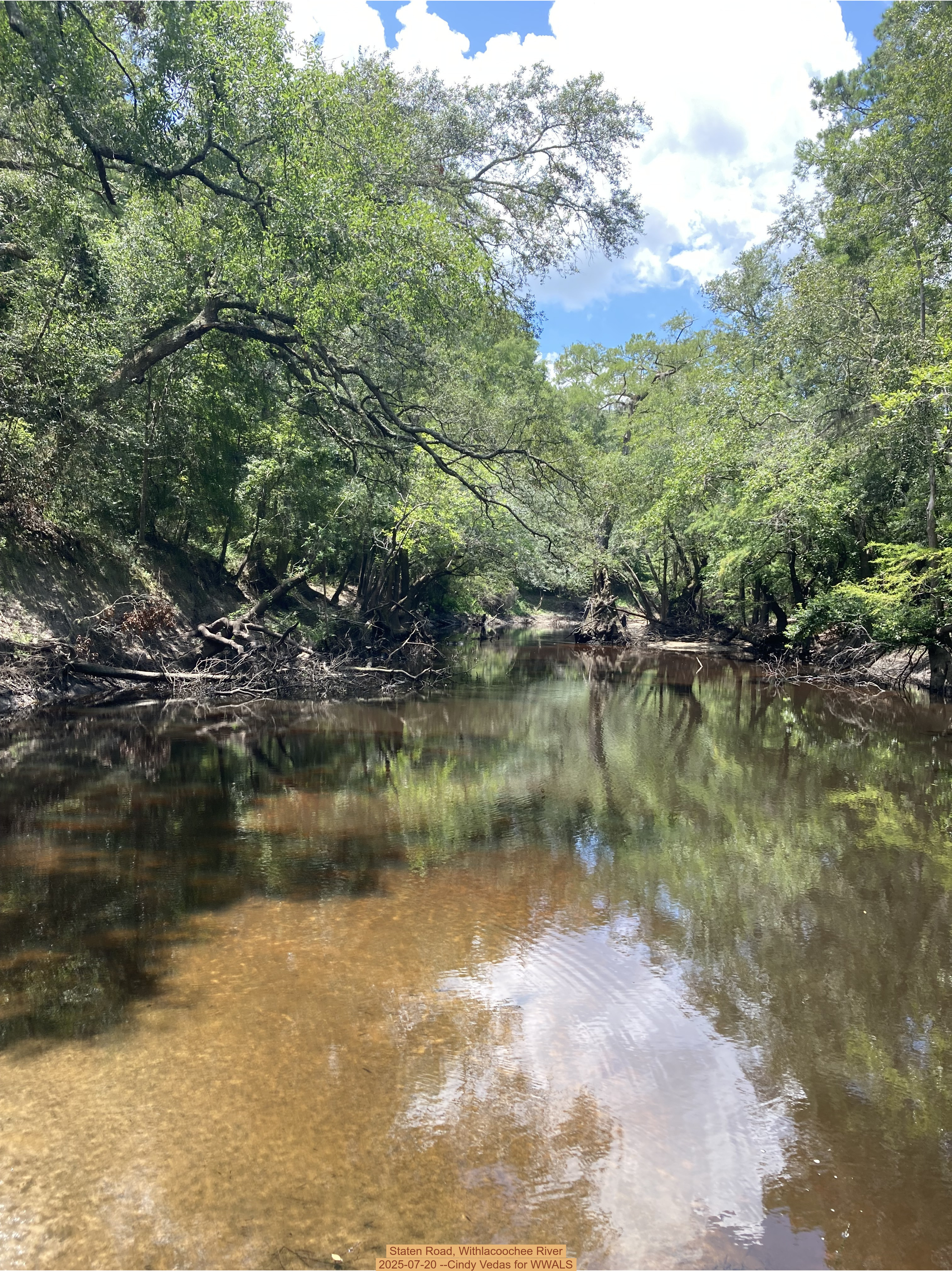 Staten Road, Withlacoochee River, 2025-07-20 --Cindy Vedas for WWALS