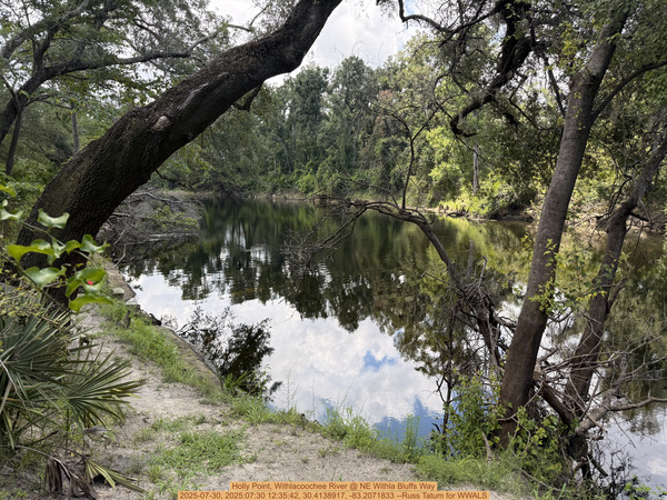 [Holly Point, Withlacoochee River @ NE Withla Bluffs Way 2025-07-30, 2025:07:30 12:35:42, 30.4138917, -83.2071833 --Russ Tatum for WWALS]