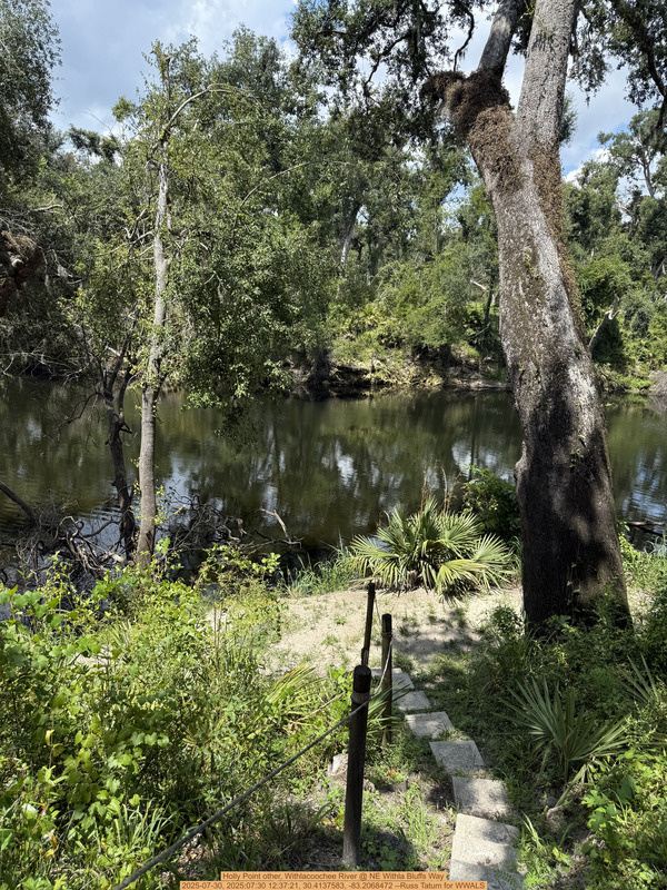 Holly Point other, Withlacoochee River @ NE Withla Bluffs Way 2025-07-30, 2025:07:30 12:37:21, 30.4137583, -83.2068472 --Russ Tatum for WWALS