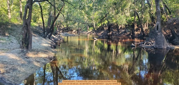 Downstream, Franklinville Landing, Withlacoochee River, 2025:07:30 09:48:23, 30.9815874, -83.2679551 --jsq for WWALS