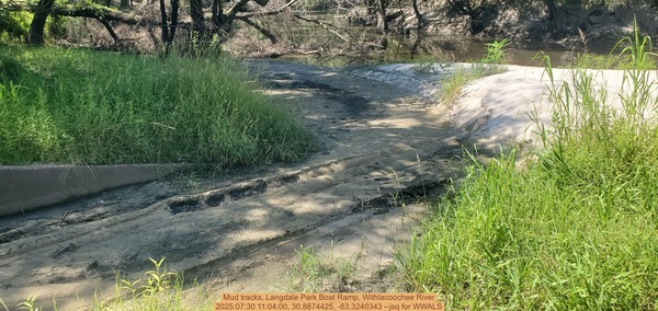 Mud tracks, Langdale Park Boat Ramp, Withlacoochee River, 2025:07:30 11:04:00, 30.8874425, -83.3240343 --jsq for WWALS