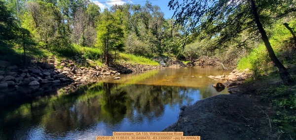 Downstream, GA 133, Withlacoochee River, 2025:07:30 11:55:01, 30.8498470, -83.3399557 --jsq for WWALS