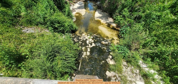 [Baytree Road, Sugar Creek, 2025:07:30 13:20:21, 30.8471193, -83.3141101 --jsq for WWALS]