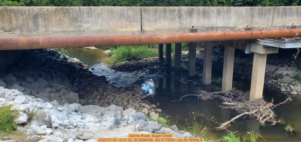 [Gornto Road, Sugar Creek, 2025:07:30 13:37:33, 30.8596538, -83.3173024 --jsq for WWALS]