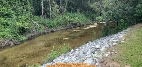 Downstream, Gornto Road, Sugar Creek, 2025:07:30 13:37:40, 30.8596538, -83.3173024 --jsq for WWALS