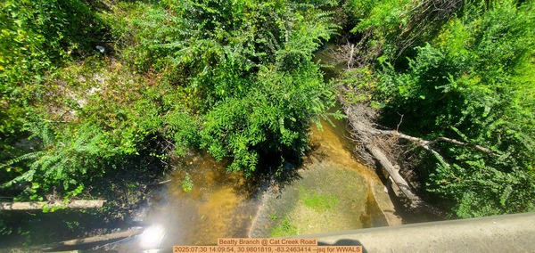 [Beatty Branch @ Cat Creek Road, 2025:07:30 14:09:54, 30.9801819, -83.2463414 --jsq for WWALS]