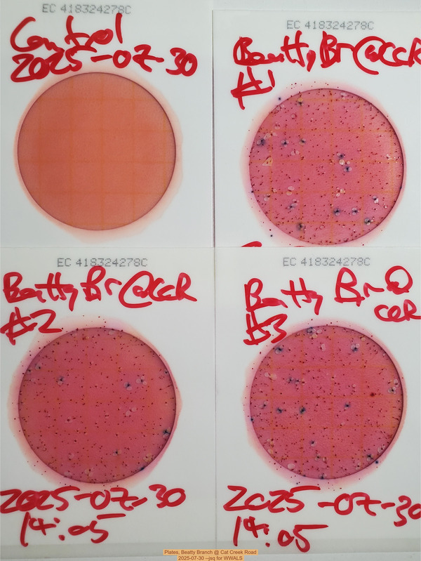 Plates, Beatty Branch @ Cat Creek Road, 2025-07-30 --jsq for WWALS