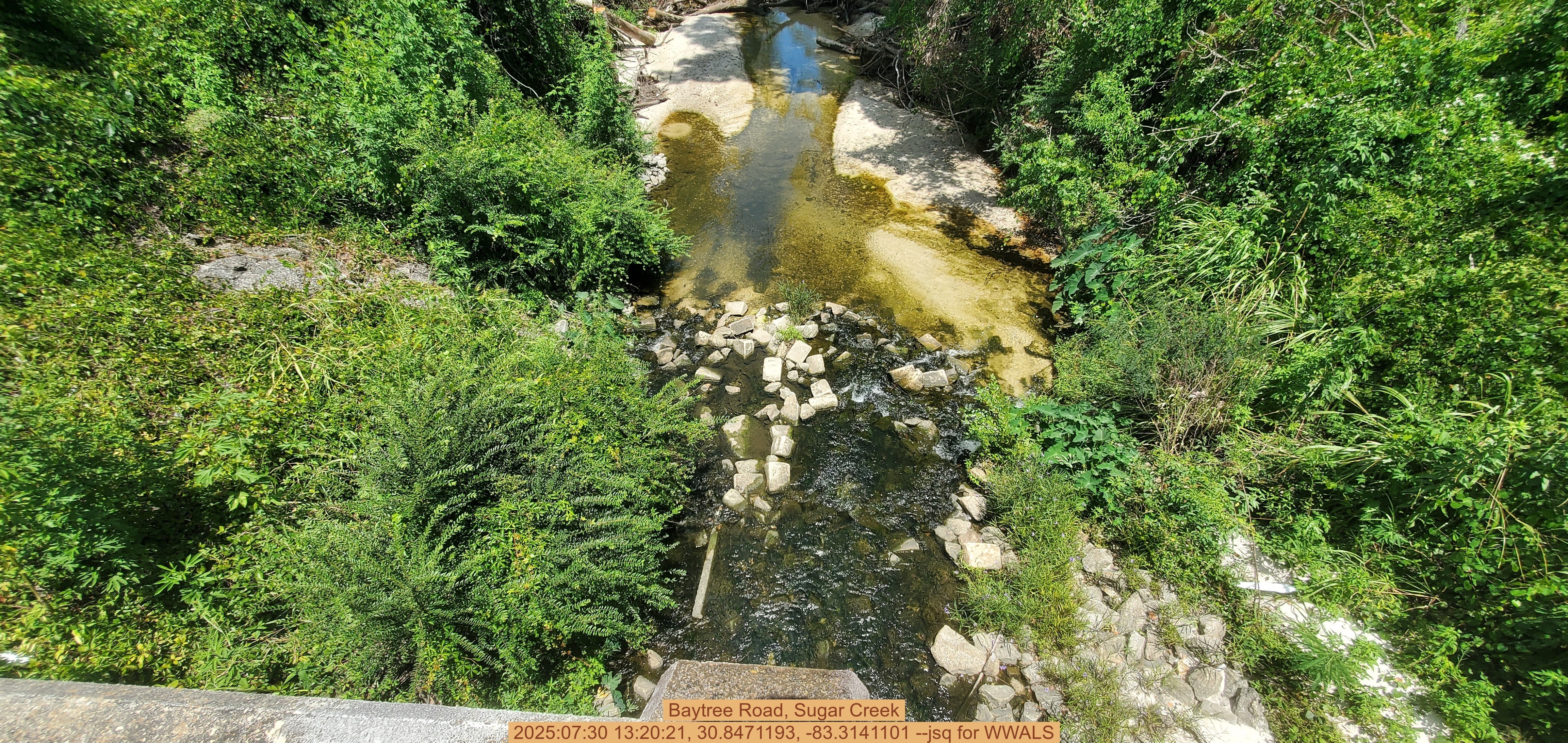 Baytree Road, Sugar Creek, 2025:07:30 13:20:21, 30.8471193, -83.3141101 --jsq for WWALS