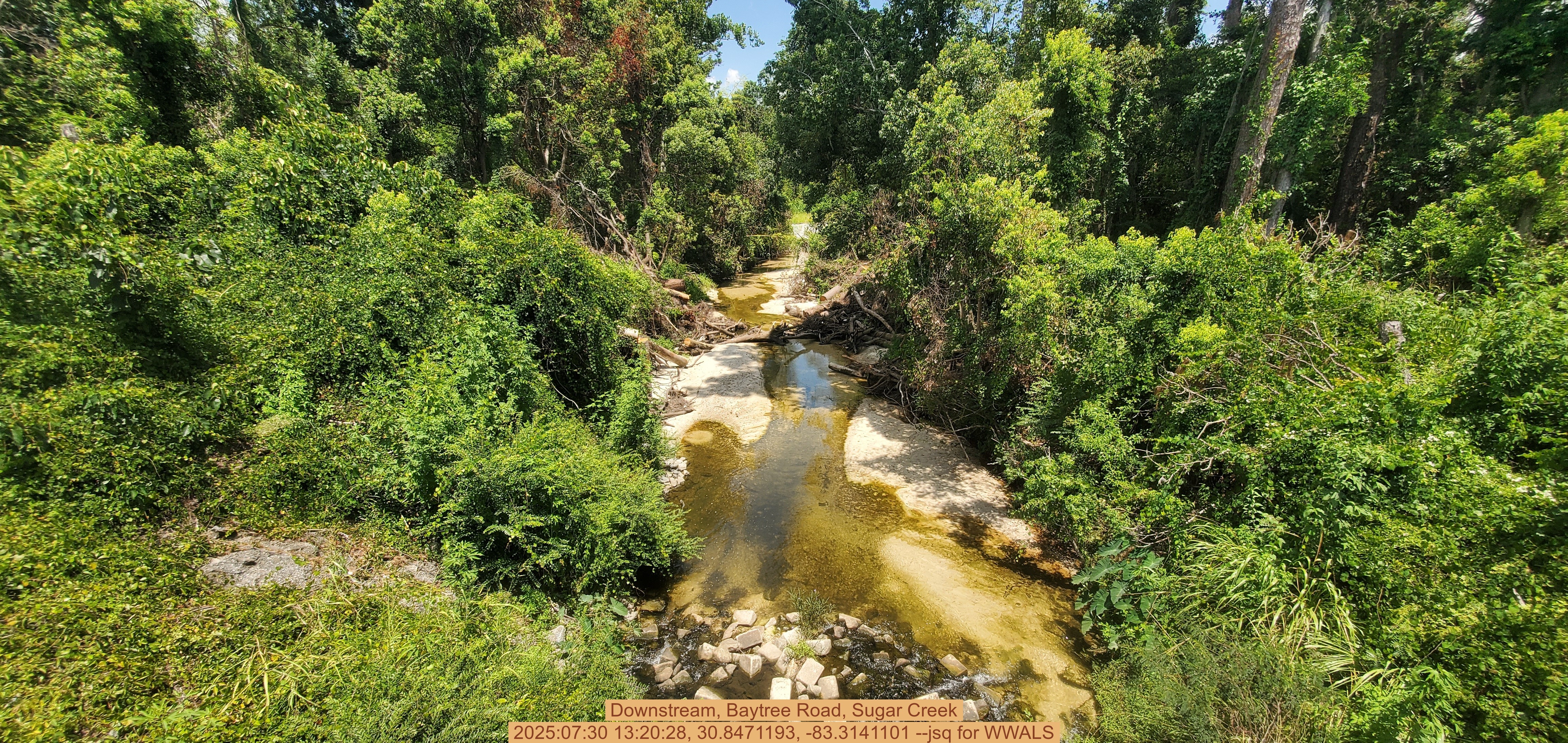 Downstream, Baytree Road, Sugar Creek, 2025:07:30 13:20:28, 30.8471193, -83.3141101 --jsq for WWALS