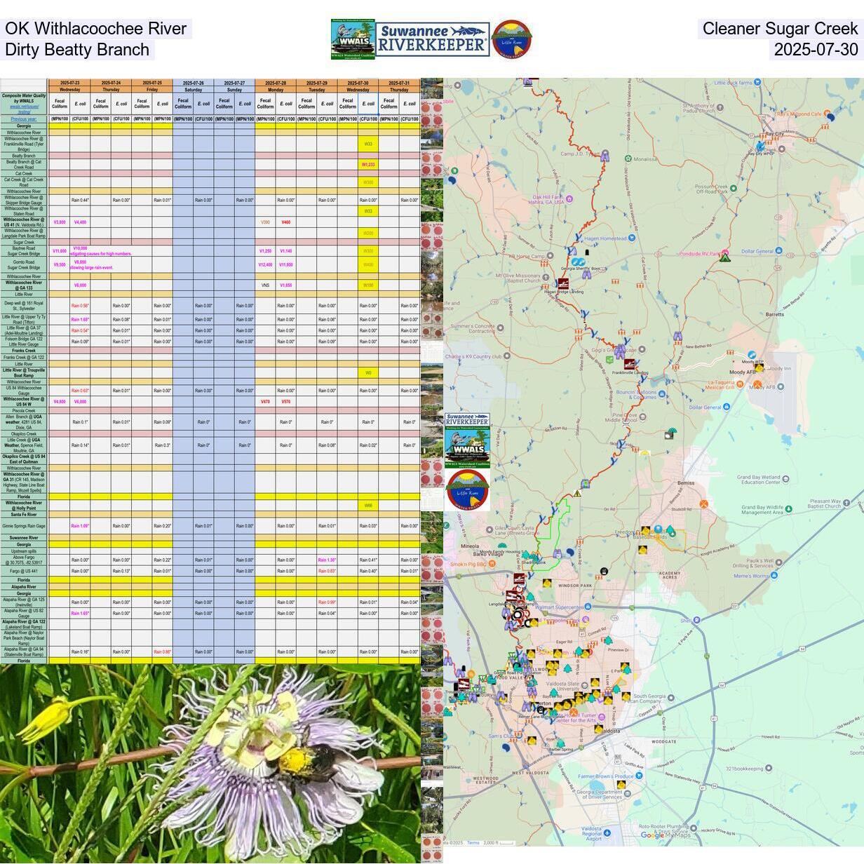 OK Withlacoochee River, Cleaner Sugar Creek, Dirty Beatty Branch, 2025-07-30