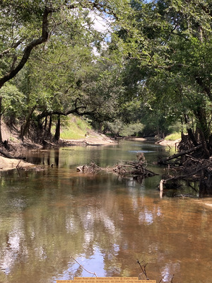 [Staten Road other, Withlacoochee River @ Staten Road 2025-07-30, 2025:07:30 12:43:22, 30.9281833, -83.2934333 --Cindy Vedas for WWALS]