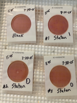 [Plates, Staten Road 2025-07-30 --Cindy Vedas for WWALS]
