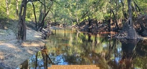 [Downstream, Franklinville Landing, Withlacoochee River, 2025:07:30 09:48:23, 30.9815874, -83.2679551 --jsq for WWALS]