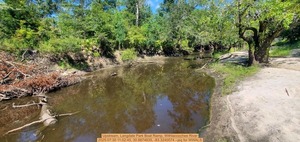 [Upstream, Langdale Park Boat Ramp, Withlacoochee River, 2025:07:30 11:02:45, 30.8874635, -83.3240574 --jsq for WWALS]