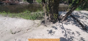 [Ogeechee Tupelo, Langdale Park Boat Ramp, Withlacoochee River, 2025:07:30 11:03:04, 30.8874635, -83.3240574 --jsq for WWALS]