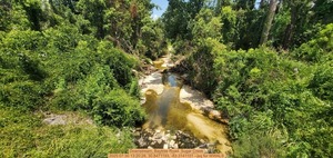 [Downstream, Baytree Road, Sugar Creek, 2025:07:30 13:20:28, 30.8471193, -83.3141101 --jsq for WWALS]