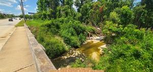 [Across, Baytree Road, Sugar Creek, 2025:07:30 13:20:45, 30.8470393, -83.3139198 --jsq for WWALS]
