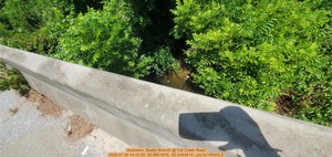 [Upstream, Beatty Branch @ Cat Creek Road, 2025:07:30 14:10:35, 30.9801819, -83.2463414 --jsq for WWALS]