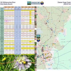 [OK Withlacoochee River, Cleaner Sugar Creek, Dirty Beatty Branch, 2025-07-30]