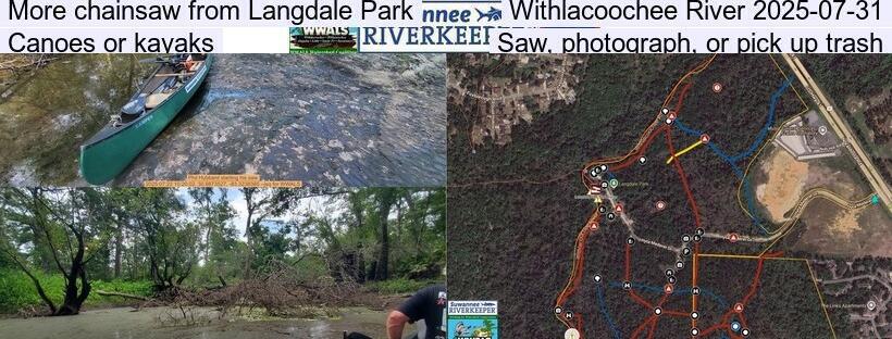 More chainsaw from Langdale Park, Withlacoochee River 2025-07-31, Canoes or kayaks, Saw, photograph, or pick up trash