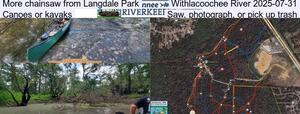 [More chainsaw from Langdale Park, Withlacoochee River 2025-07-31, Canoes or kayaks, Saw, photograph, or pick up trash]