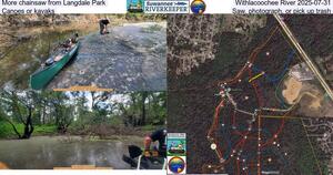 [More chainsaw from Langdale Park, Withlacoochee River 2025-07-31, Canoes or kayaks, Saw, photograph, or pick up trash]
