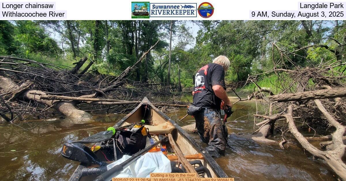 Longer chainsaw, Langdale Park, Withlacoochee River, 9 AM, Saturday, August 2, 2025