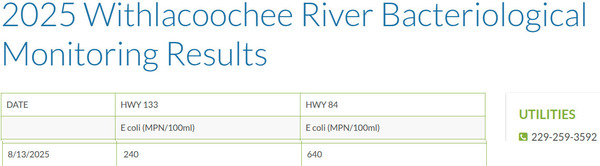 Table: GA 133, US 84 Withlacoochee River Water Quality, 2025-08-13 --Valdosta Utilities