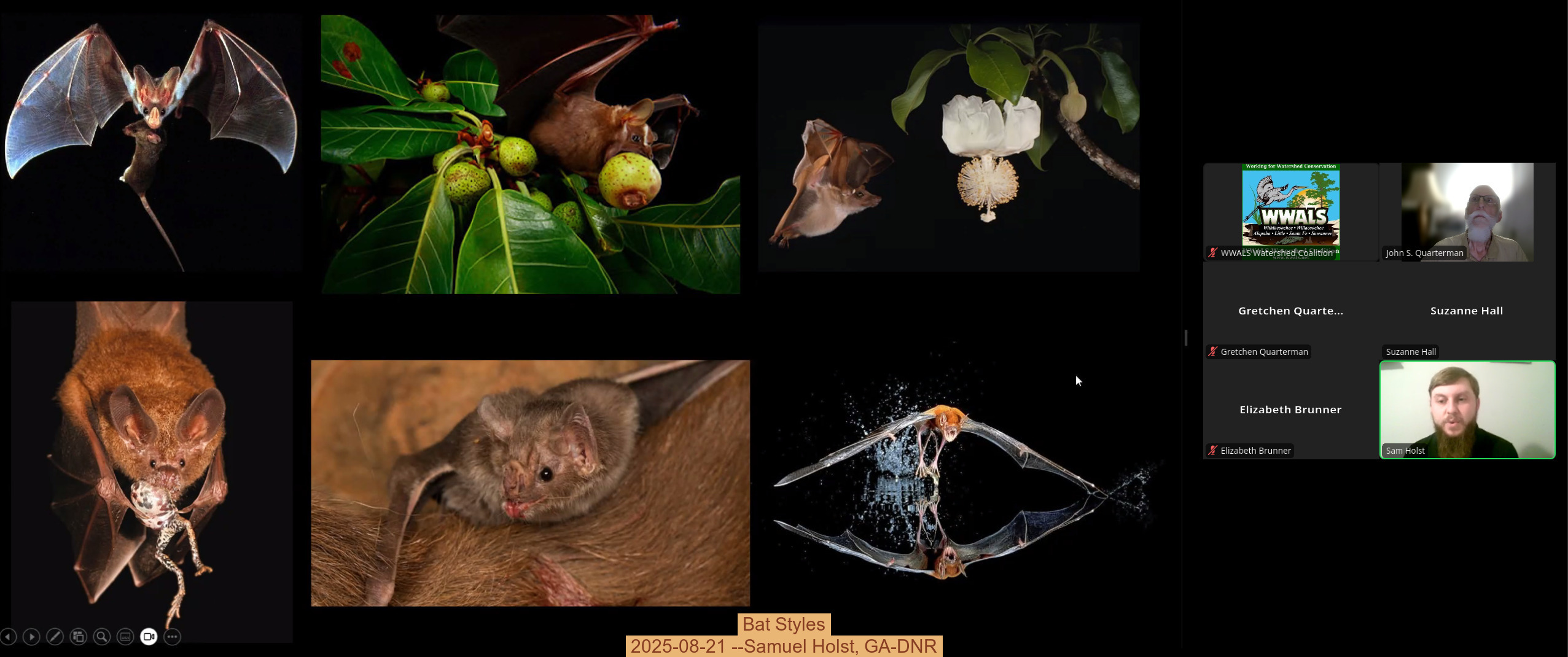 Bat Styles, 2025-08-21 --Samuel Holst, GA-DNR