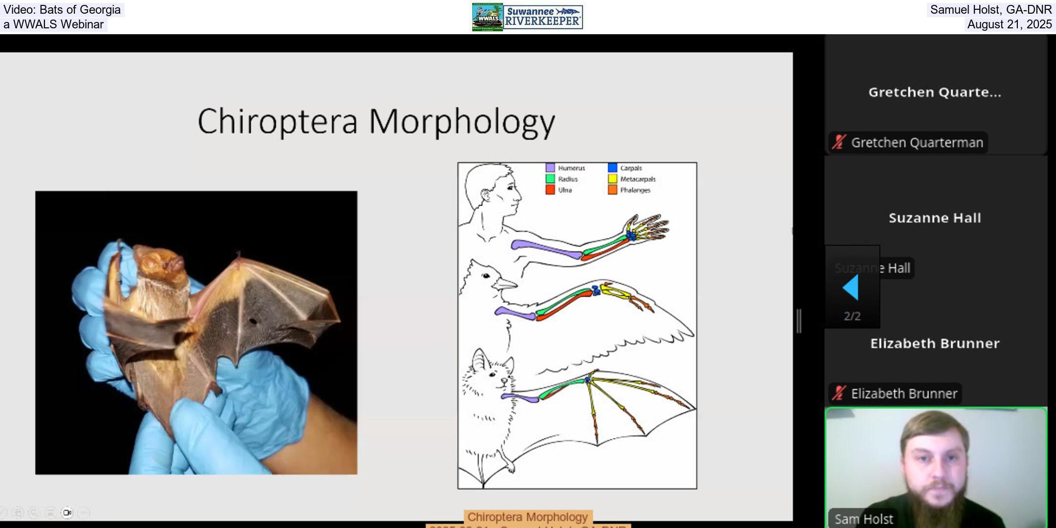 Video: Bats of Georgia, Samuel Holst, GA-DNR, a WWALS Webinar, August 21, 2025