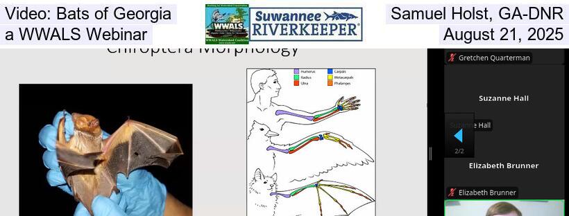 Video: Bats of Georgia, Samuel Holst, GA-DNR, a WWALS Webinar, August 21, 2025