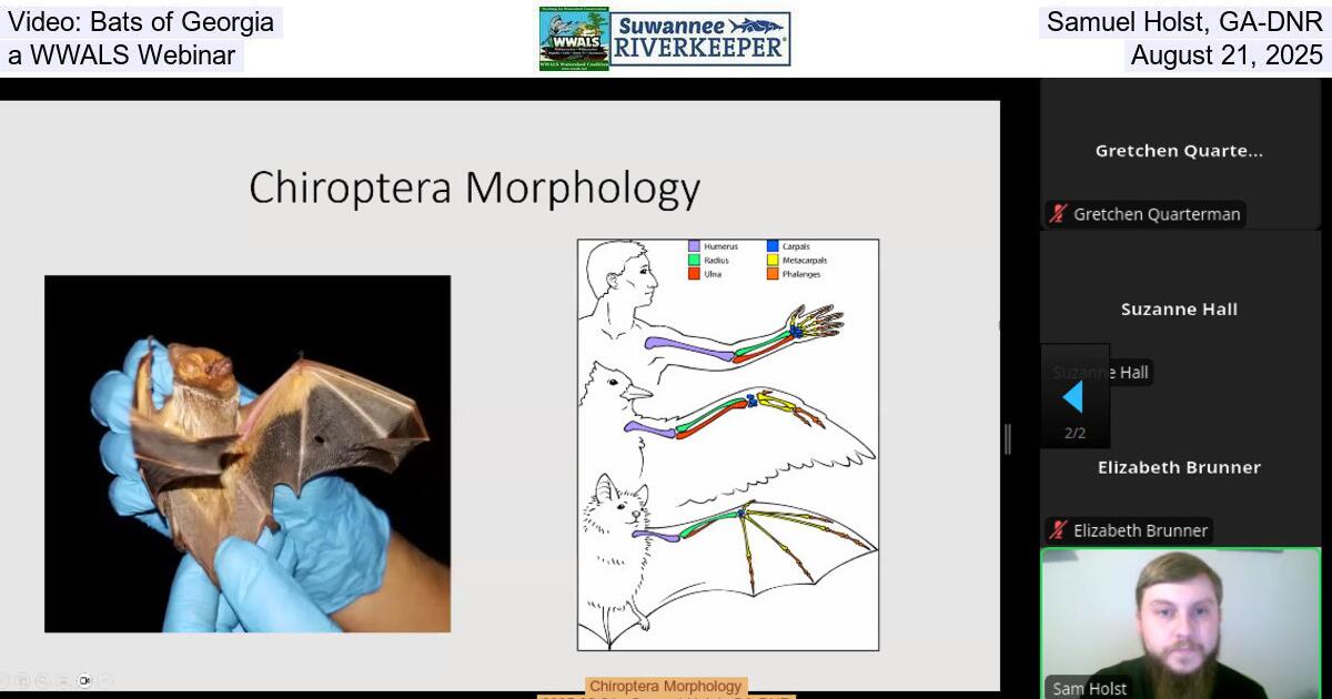 Video: Bats of Georgia, Samuel Holst, GA-DNR, a WWALS Webinar, August 21, 2025