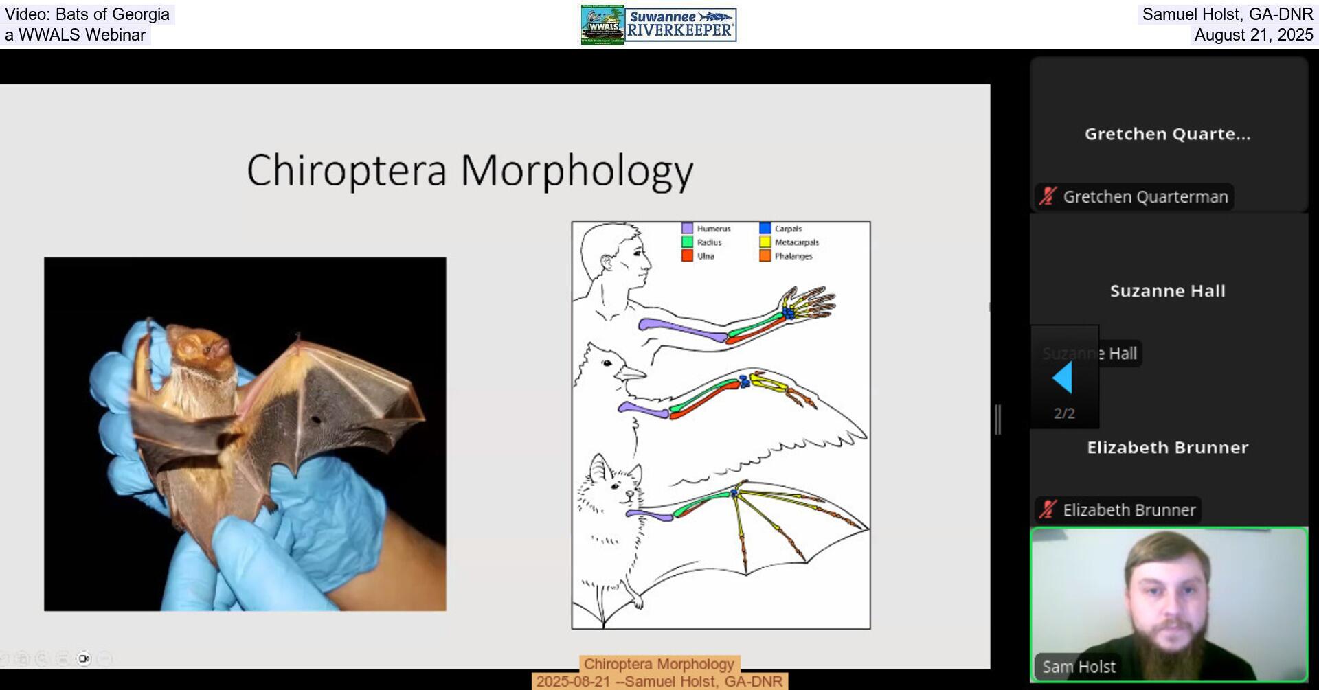 Video: Bats of Georgia, Samuel Holst, GA-DNR, a WWALS Webinar, August 21, 2025