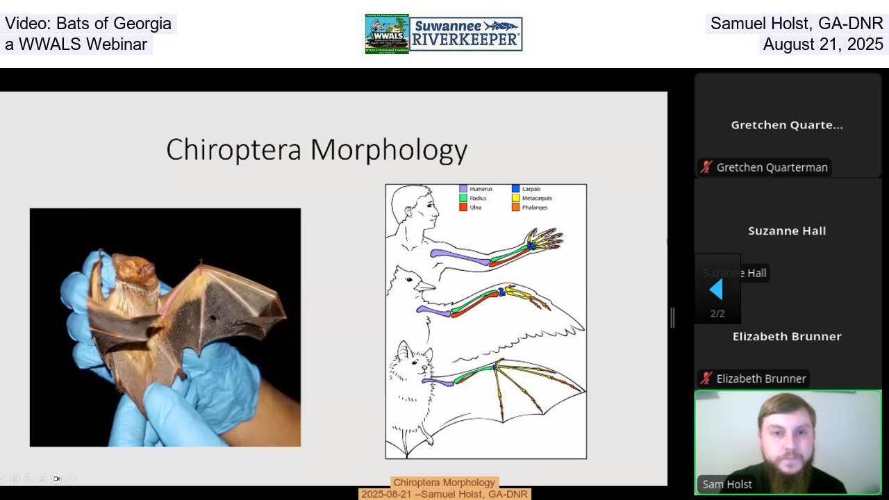 Video: Bats of Georgia, Samuel Holst, GA-DNR, a WWALS Webinar, August 21, 2025
