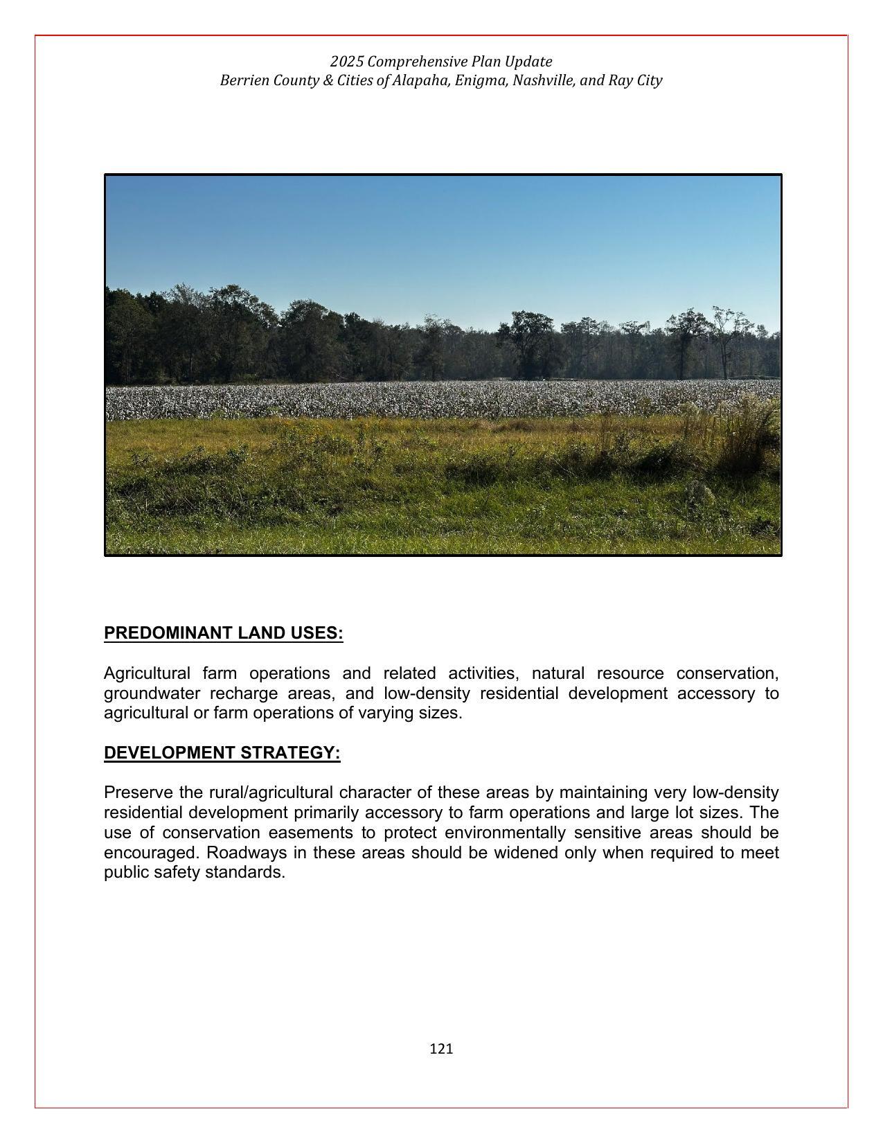Predominant Land Uses and Development Strategy