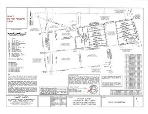 [Cole Livingston, Division Survey Located in Land Lot 510 of the 10th Land District, Berrien County, Georgia]