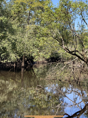 [Upstream, Langdale Park Boat Ramp, Withlacoochee River @ North Valdosta Road 2025-09-03 --Cindy Vedas for WWALS]