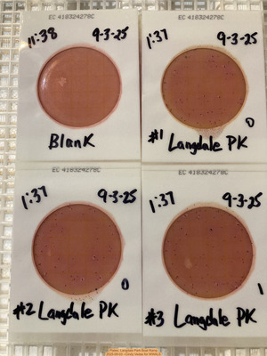 [Plates, Langdale Park Boat Ramp 2025-09-03 --Cindy Vedas for WWALS]
