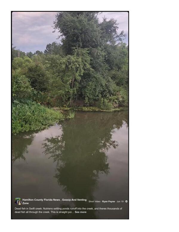 [Image of dead fish in Swift Creek, 2025-06-19 on facebook]