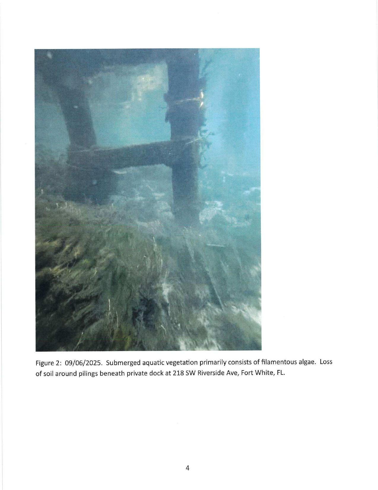 Figure 2: 09/06/2025. Submerged aquatic vegetation primarily consists of filamentous algae. Loss of soil around pilings beneath private dock at 218 SW Riverside Ave, Fort White, FL.