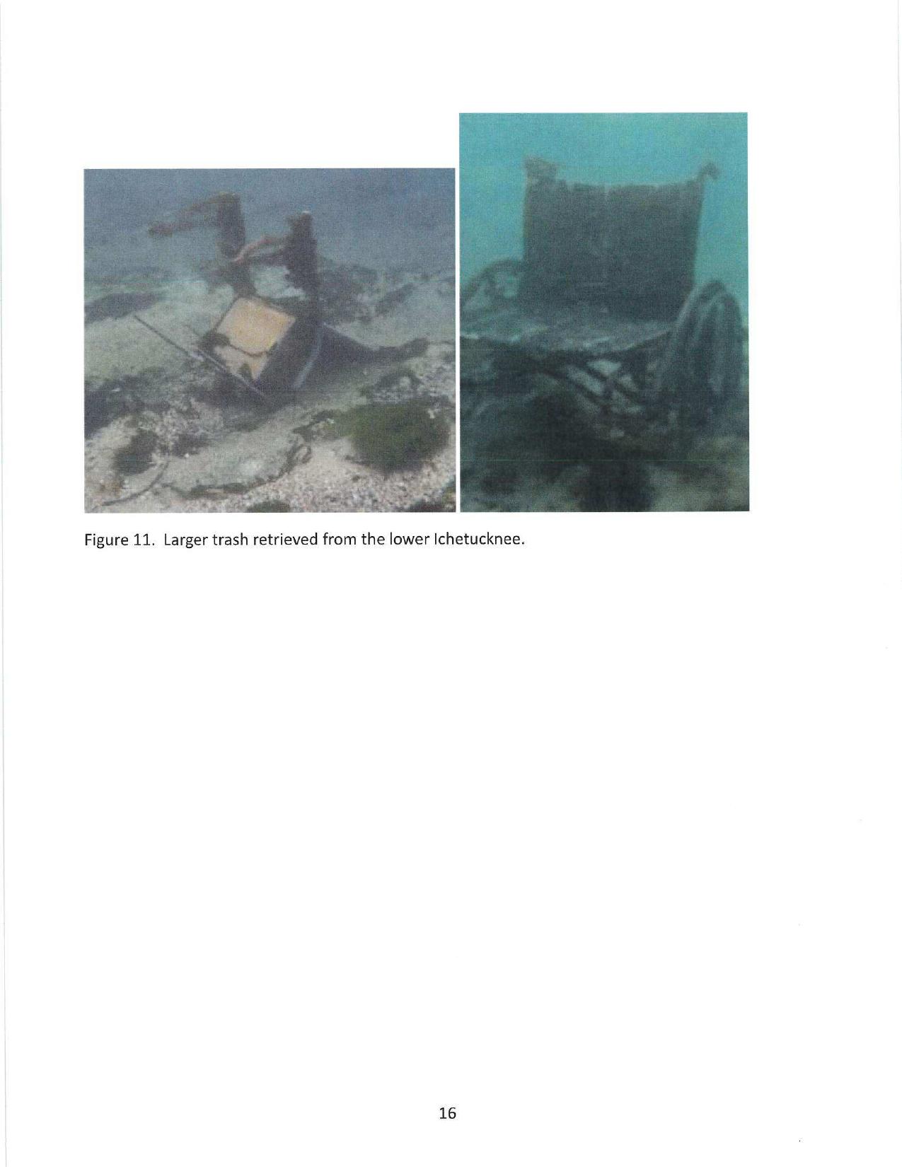 Figure 11. Larger trash retrieved from the lower Ichetucknee.