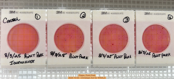 Plates, Point Park 2025-10-03 --Christiaan Ard for WWALS