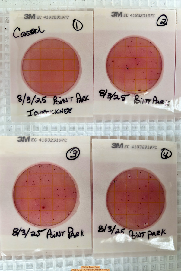 Plates, Point Park 2025-10-03 --Christiaan Ard for WWALS