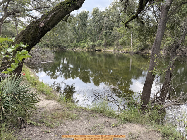 Holly Point other, Withlacoochee River @ NE Withla Bluffs Way 2025-10-08 --Russ Tatum for WWALS