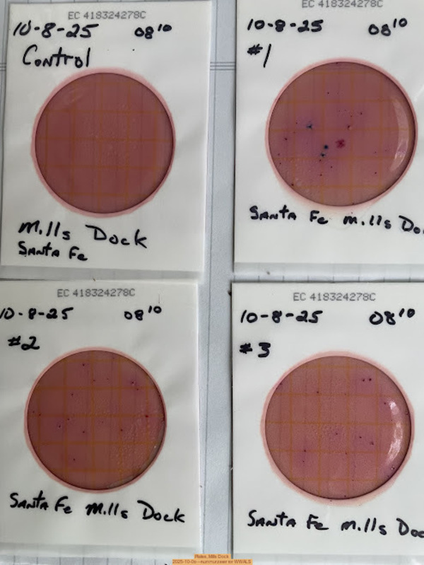 Plates, Mills Dock 2025-10-08 --Kurt Hurzeler for WWALS